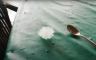 Potop u Dalmaciji: Led veličine oraha, vjetar lomio grane (VIDEO)