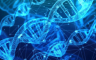 DNK se bezbjedno može čuvati u polimeru nalik na jantar