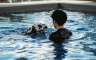 Šta treba da znate ako želite da pustite psa da se brčka u bazenu