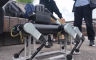 Kineski naučnici testiraju psa-robota za pomoć slabovidima