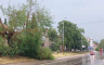Nevrijeme u Bileći: Vjetar obarao stabla i nosio cigle sa krovova