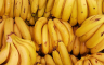 U banane sakrili 334 kilograma kokaina