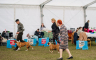 Izložba pasa svih rasa: "BL DOG SHOW" ponovo u Banjaluci