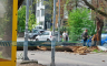 Ogromno stablo palo na ulicu u Banjaluci (FOTO)