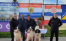 Tornjak Arambaša-Brumbi proglašen najljepšim psom