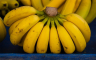 Klima uništava banane, u riziku 80 odsto svjetskog izvoza