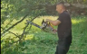 Nakon kose, Nešić se latio motorke (VIDEO)
