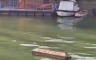 Prizor u Beogradu šokirao mnoge: Sanduk pluta rijekom (VIDEO)